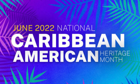 Caribbean American Month