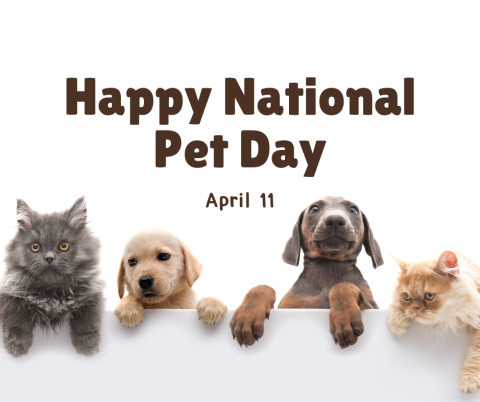 Happy National Pet Day!