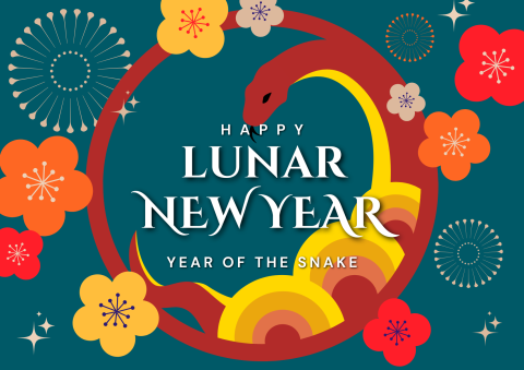 2025 lunar new year