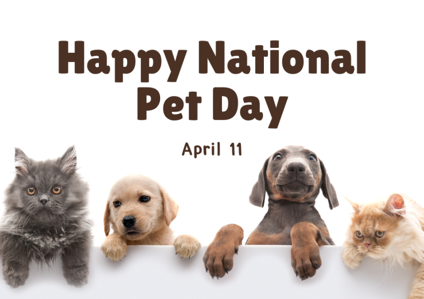Happy National Pet Day!
