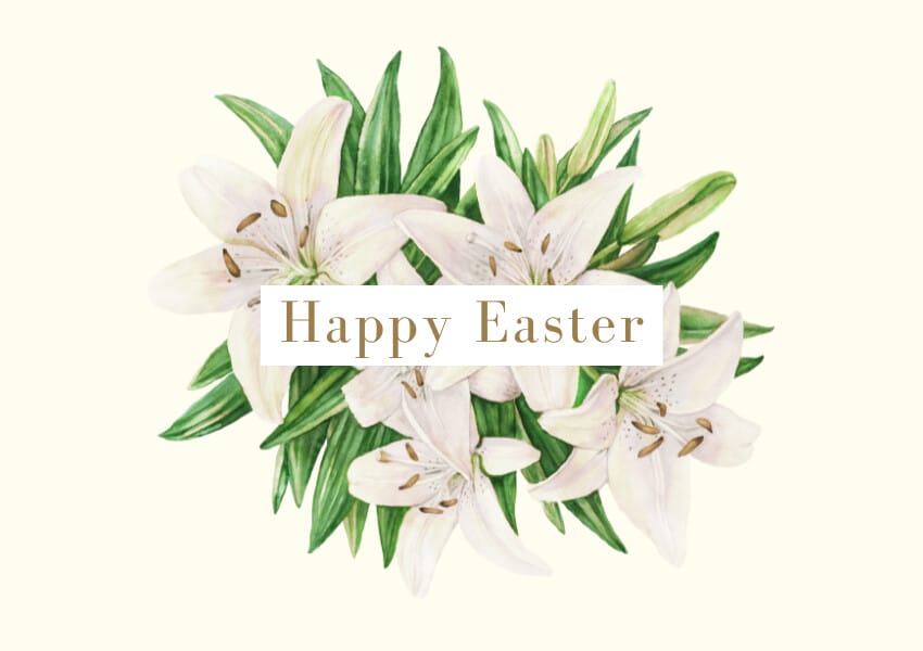 happy easter lily